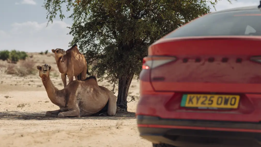 Skoda Enyaq Coupe vRS