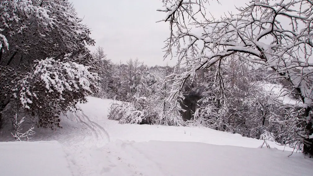 зимняя дорога