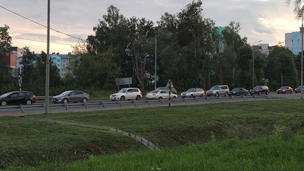 Автомобилистам рассказали, что делать в случае падения дерева на машину