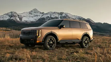 Гибрид экономит топливо, но тянет меньше: какой Kia Telluride выбрать