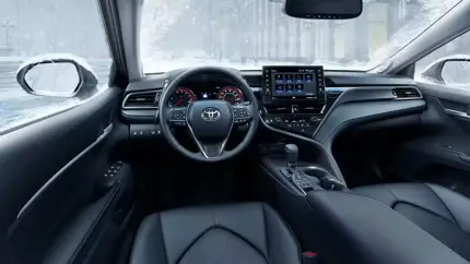 Названы самые популярные автобренды в мире