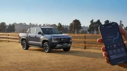 BYD Shark мощнее Ranger PHEV, но проиграл ему в одном важном пункте
