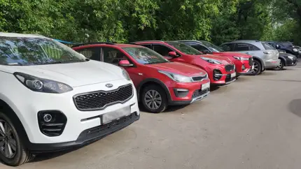 Автомобили каких цветов пользуются наибольшим спросом у россиян