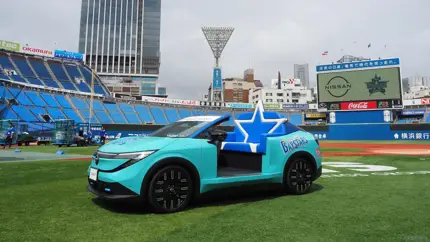Nissan Leaf лишился крыши: легендарный электрокар теперь не сможет выезжать на дороги