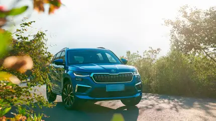 В Россию привезли новые семейные кроссоверы SKODA