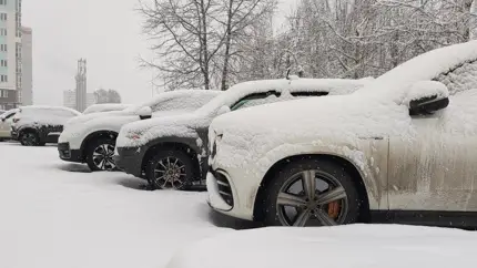 Почему не стоит поднимать «дворники» автомобиля на время стоянки