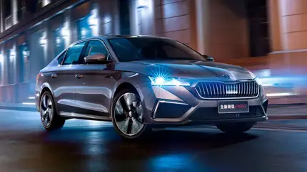 В Россию вернулся надёжный семейный автомобиль Skoda