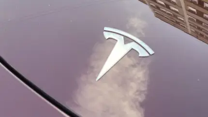 Tesla опровергла уход из Китая — но у FSD осталась другая проблема
