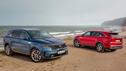 Это не «параллельные» автомобили: в России все еще можно купить новые Kia Sorento 2022 года выпуска