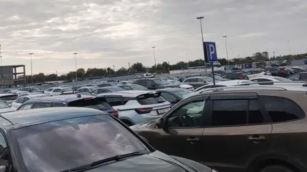 Какую машину сегодня выгоднее заказать из-за границы – автодилеры всё рассказали