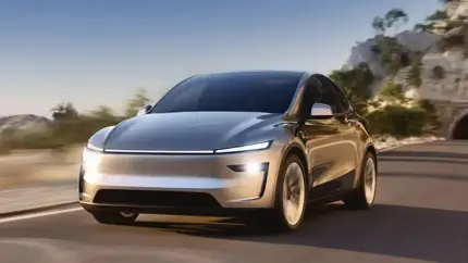 В Китае закончились Tesla Model Y? Бешеная популярность, несмотря на более дешевых конкурентов