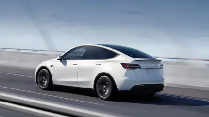Дефект сидений в Tesla Model Y: компания снова борется с качеством сборки