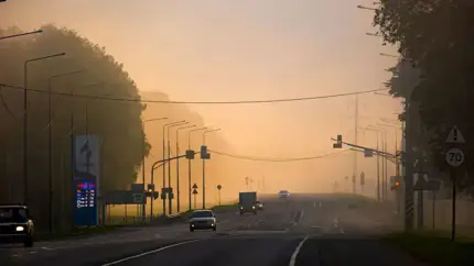 Секреты вождения в туман: о чем не рассказывают в автошколе