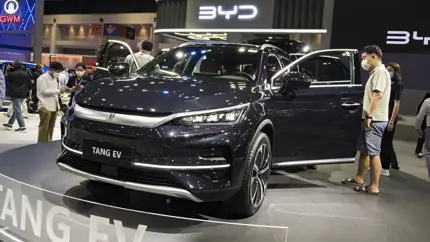 Пока Европа страдает — Китая набирает обороты: BYD устроил массовый рекрутинг