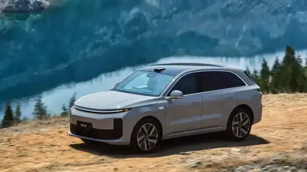 Обновление 7.4 парализовало Li Auto: что известно о проблеме