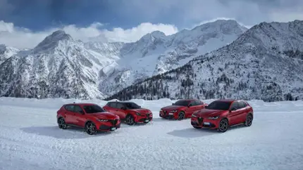 75 лет вне асфальта: легендарная история полноприводных Alfa Romeo