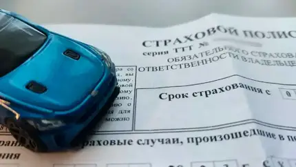 В этих российских регионах большинство водителей отказываются от ОСАГО
