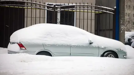 Неожиданный ретро-гаджет, который убирал запотевание на заднем стекле