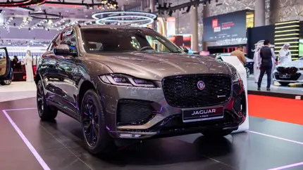 Jaguar пробуждает интерес: как кампания Copy Nothing изменила восприятие марки