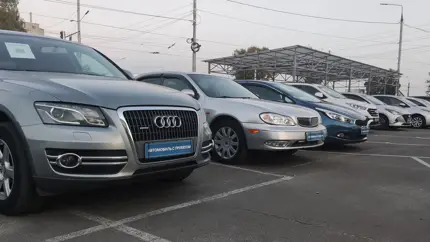 Сколько подержанных автомобилей в России ввезены параимпортом: аналитики всё подсчитали