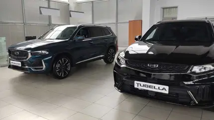 «Покупательский экстремизм»: автолюбители нашли способ разорить дилеров на дефектных запчастях