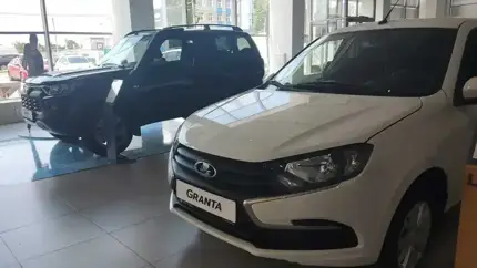 Автосалоны закрываются: что происходит с дилерским рынком в 2025 году