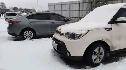 Документы замерзли намертво: почему опасно оставлять бумаги в автомобиле?
