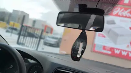 Зачем опытные автомобилисты берут в машину носок с кошачьим наполнителем: интересный лайфхак