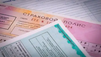 Жителям РФ назвали способы сэкономить на ОСАГО