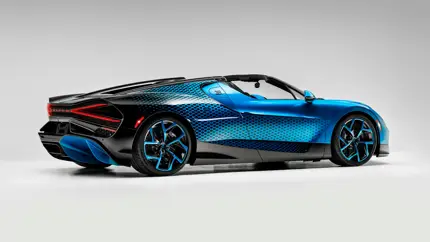 Один Mistral, месяцы работы и узор стрекозы: Bugatti снова сделала вещь вне каталога