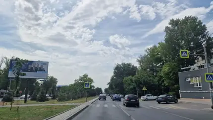 Дерево упало на машину, но это не ДТП: кто должен платить за ремонт