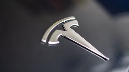 Хакер раскрыл главный секрет Илона Маска: Tesla готовит нечто особенное