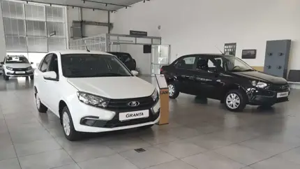 Стало известно, как продавались новые авто в РФ в 2023 году