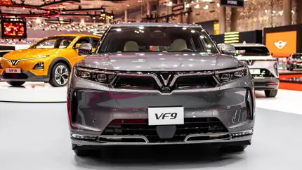 VinFast расширяет сеть в США на фоне падения регистраций