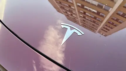 Чего не сделаешь ради технологий: Tesla готовит электрокар со спутниковой тарелкой на крыше