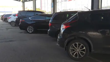 Аналитики выяснили, какой тип кузова авто самый популярный в России