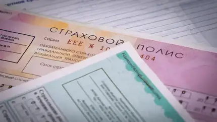 Как будет работать общий полис ОСАГО для РФ и Белоруссии: в РСА всё рассказали