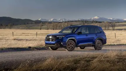 В наличии в двух городах: Subaru Forester 2025 продают от 5,99 млн рублей