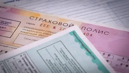 Автоэксперт призывает повысить штрафы за отсутствие ОСАГО