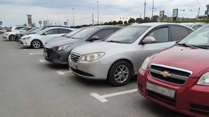 Эти модели Chevrolet оказались самыми популярными среди перекупов и подборщиков: проверенная классика на вторичке