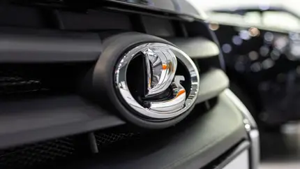 АвтоВАЗ может начать выпуск автомобилей Chery под маркой Lada