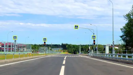Корова попала под Honda: ВС объяснил, кто отвечает за такое ДТП