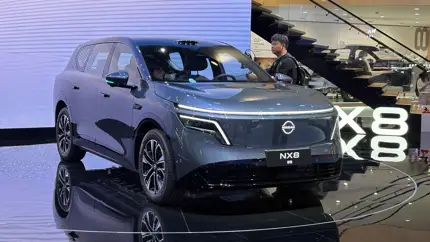 Новый Nissan за 3,5 млн рублей: в России появился электрический NX8