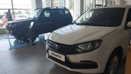 Названы самые популярные автобренды на российском рынке