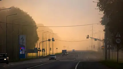 Туман-убийца: автоэксперт раскрыл секреты безопасной езды