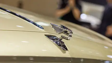 Bentley готовит новый электрический кроссовер – раскрыта первая информация о новинке