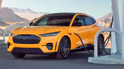 Ford резко свернул батарейный проект и отправил рабочих домой