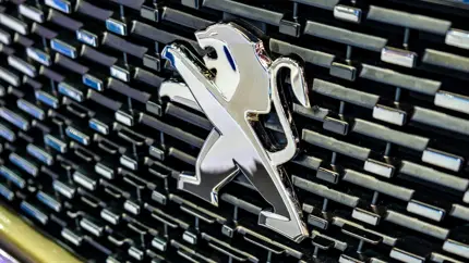 Peugeot оживила легенду: редкий 504 превратили в кинотеатр