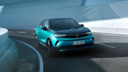В ЕС поставят на паузу сразу два автозавода Stellantis: какие модели перестанут выпускать?