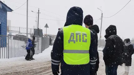 Снег на номерах может стать причиной лишения прав: в каких случаях это возможно
